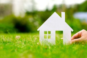 iStock_64269287_LARGE